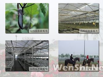 天津以智能温室为代表打造高端农业观光旅游项目
