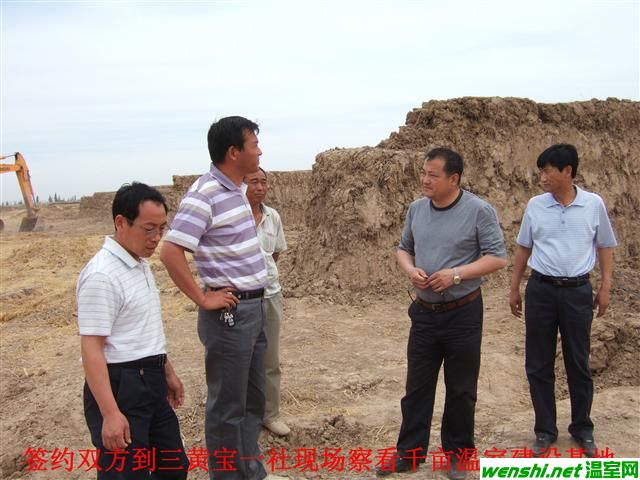 巴彦淖尔市五原县签订“双孢蘑菇”订单种植协议