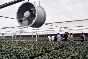 北京首次大规模利用地热资源种植温室花卉