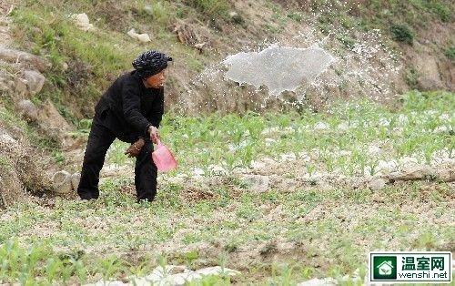 中国西南地区干旱将持续 局地旱情百年一遇(图)