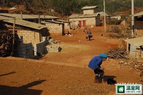 云南持续干旱 灾情严重县送水成本比油贵 村民、牲畜饮水困难