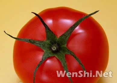 神奇番茄 多吃西红柿对男人尤其好