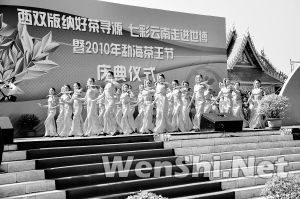 西双版纳好茶寻源 七彩云南走进世博