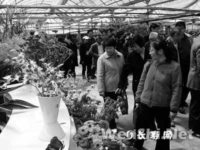 专家齐聚杭州共话花卉产业发展