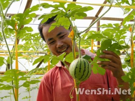 广西恭城：党建远程网络助教瑶胞种植创收
