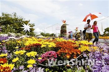 马来西亚举办“热带雨林之美”花卉展