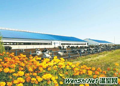 奏响发展新乐章(组图)