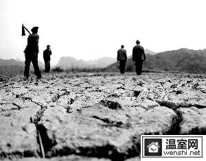 云南“秋冬春连旱”百年一遇 花卉减产一半(图)